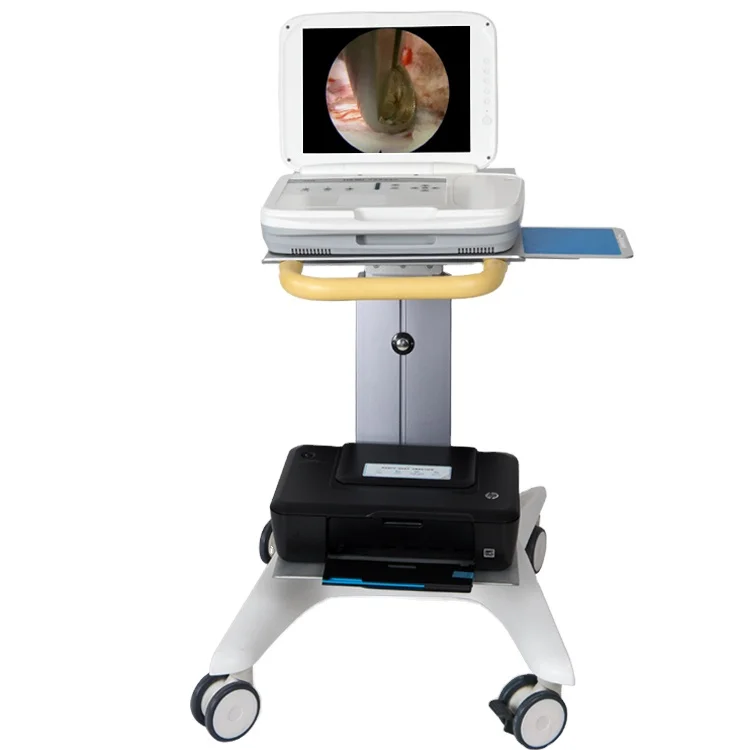Medical Lab Images - Sistem Endoskop Portabel Terintegrasi Full HD