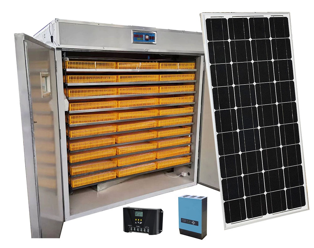 Mesin penetasan telur 5000 but - Lab Incubator ulasan dan harga